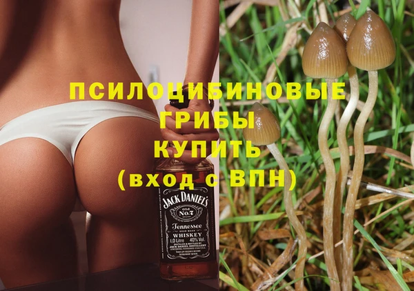 кокаин колумбия Алексин