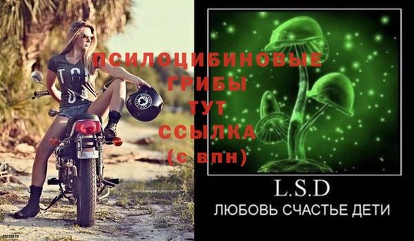 соль ск Алзамай